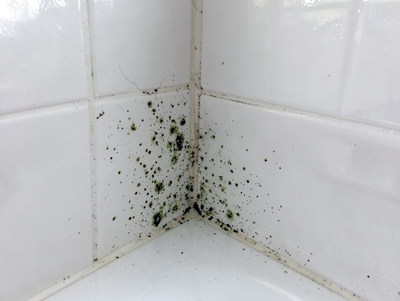 How Granny Cleans Mold From Shower Caulk